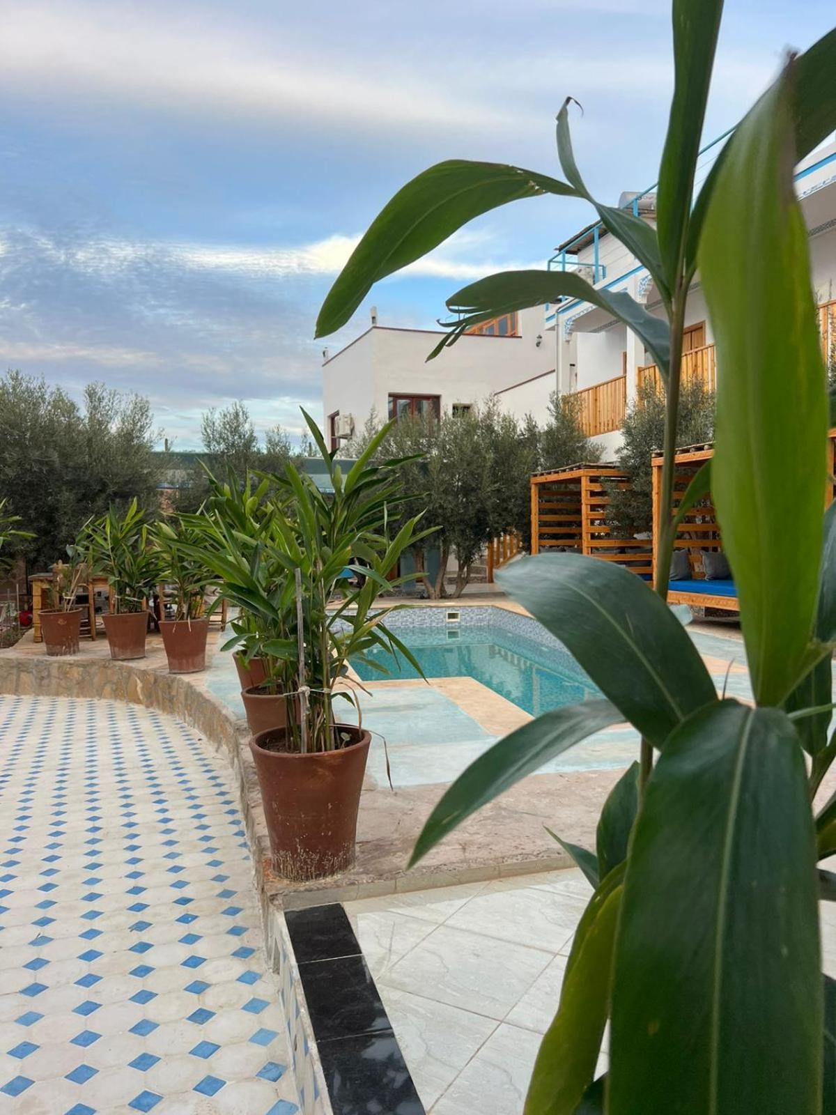 Single Fin Taghazout Surf & Stay Zewnętrze zdjęcie