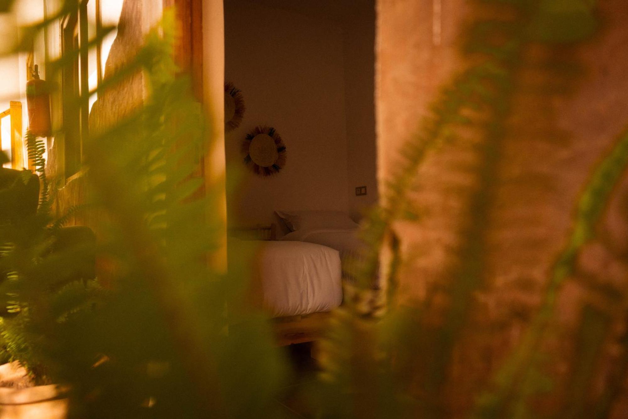 Single Fin Taghazout Surf & Stay Zewnętrze zdjęcie