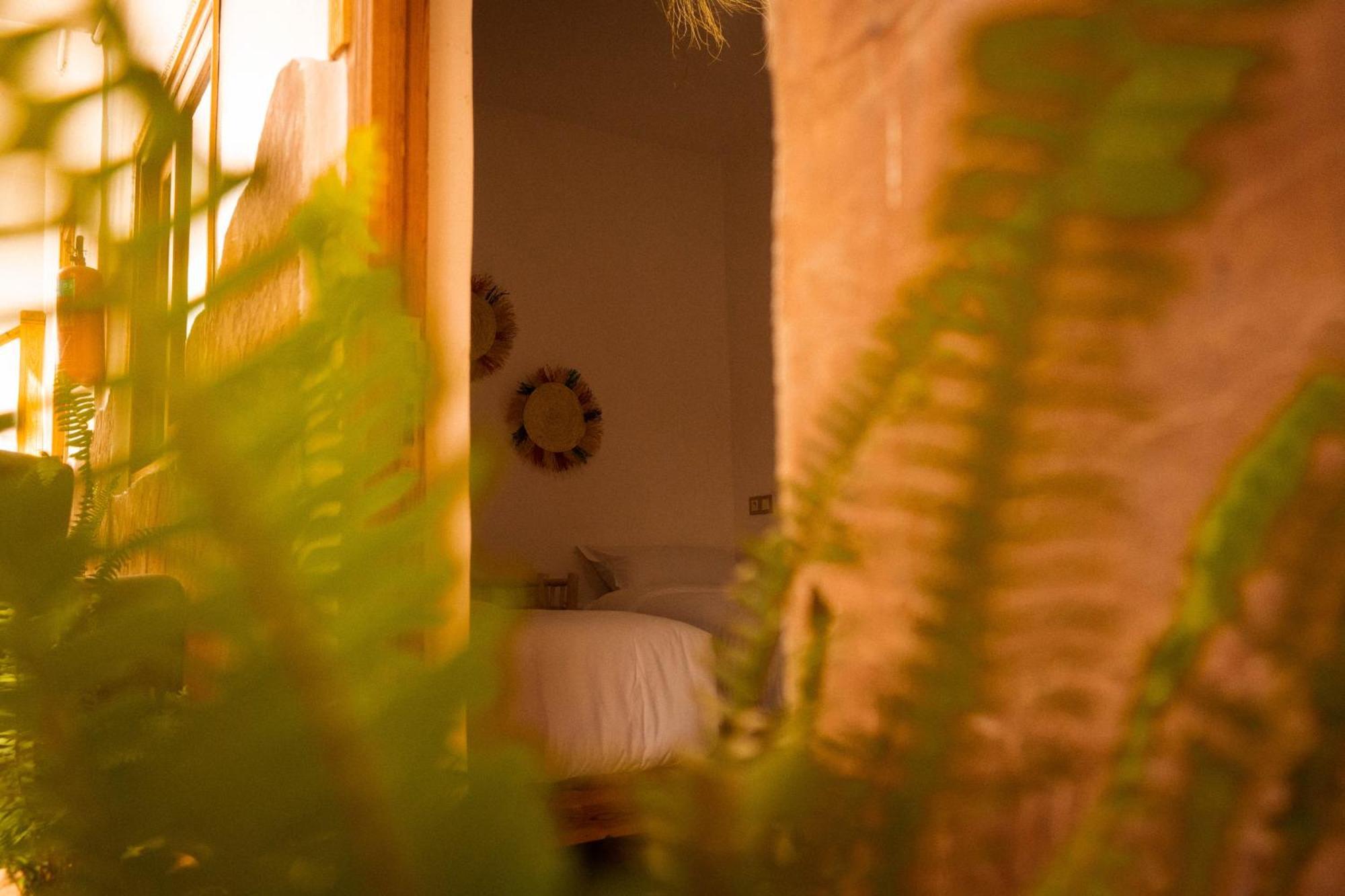 Single Fin Taghazout Surf & Stay Zewnętrze zdjęcie