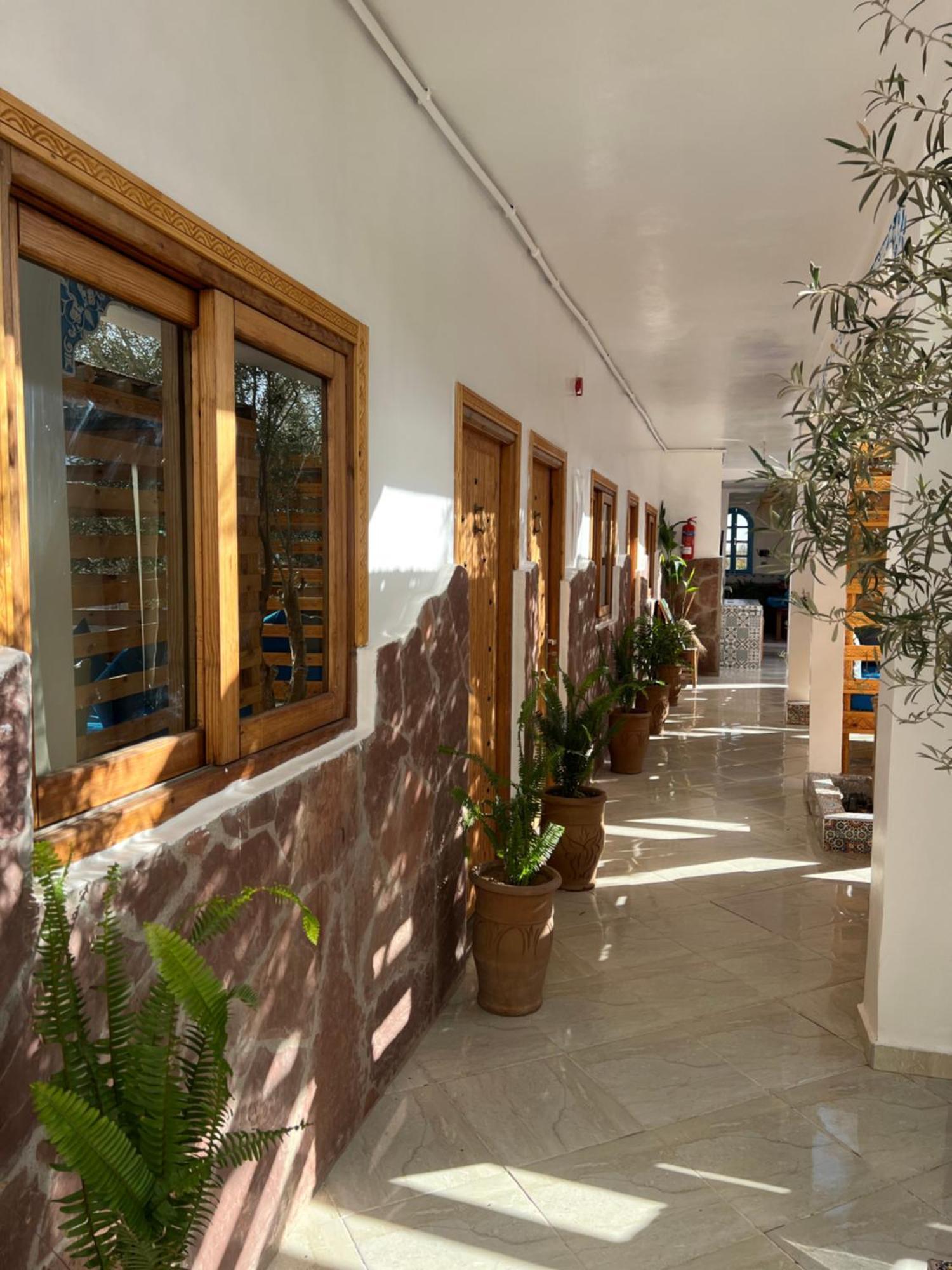 Single Fin Taghazout Surf & Stay Zewnętrze zdjęcie